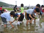 相沼小学校　田植え