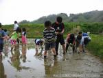 相沼小学校　田植え