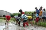 相沼小学校　田植え