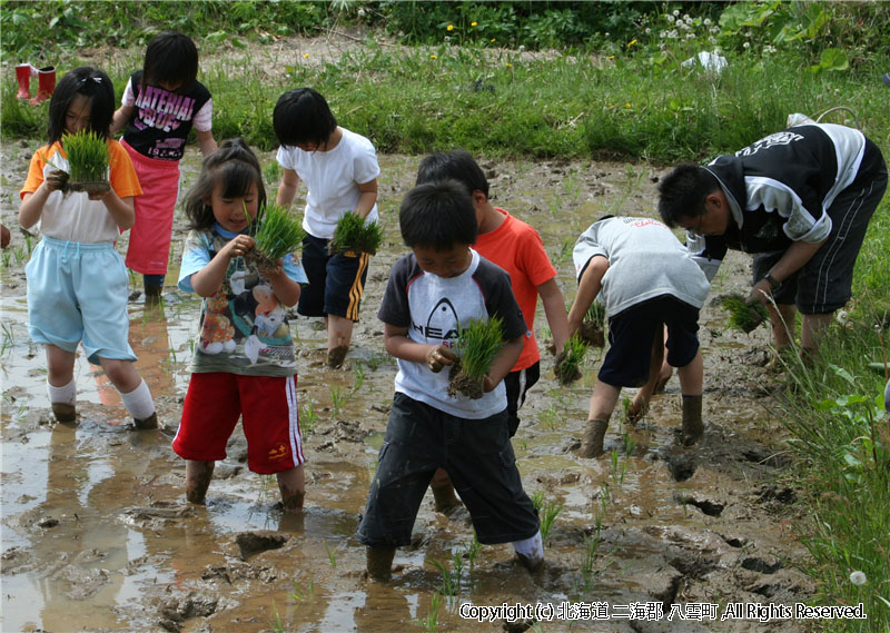 相沼小学校　田植え