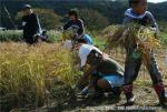 相沼小学校　田植え