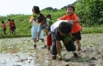 相沼小学校　田植え