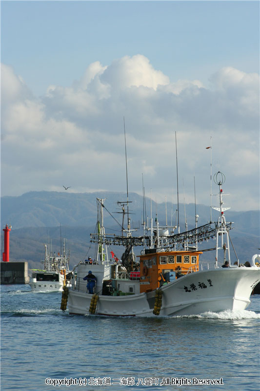 H18.11.19　スケトウダラ漁