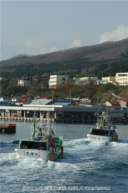 H18.11.19　スケトウダラ漁