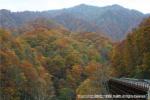 雲石峡紅葉