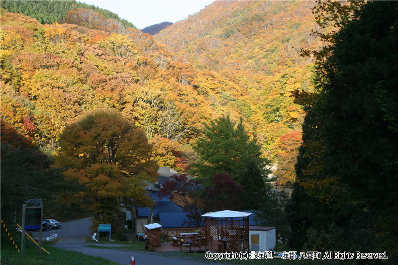 H19.10.25　八熊峠紅葉