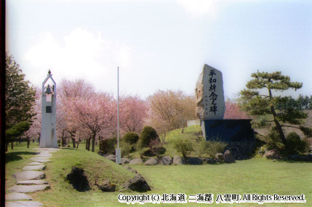 H13.05.13 さらんべ公園桜まつり