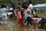 平成19年　相沼小学校　田植え