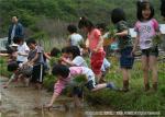 平成19年　相沼小学校　田植え