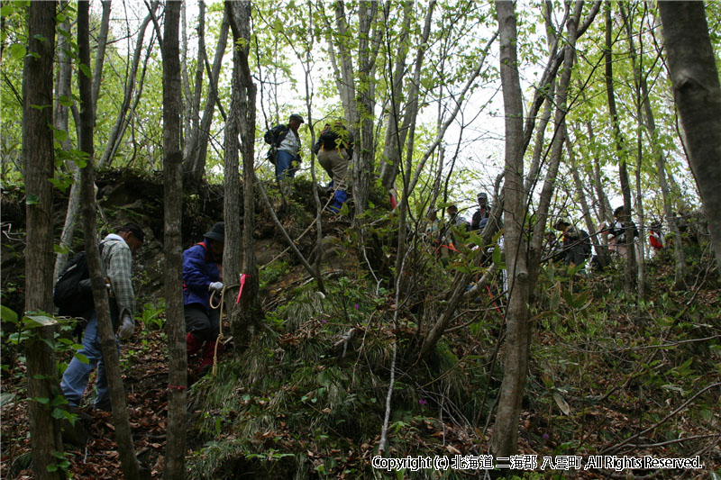 H20.04.29　ヤンカ山登山