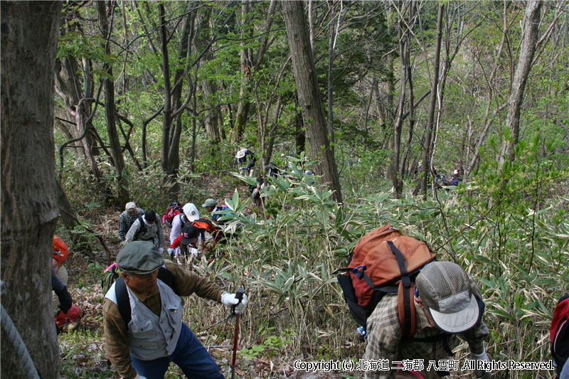 H20.04.29　ヤンカ山登山