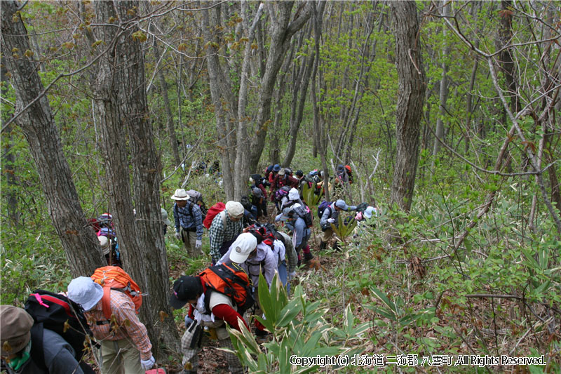 H20.04.29　ヤンカ山登山