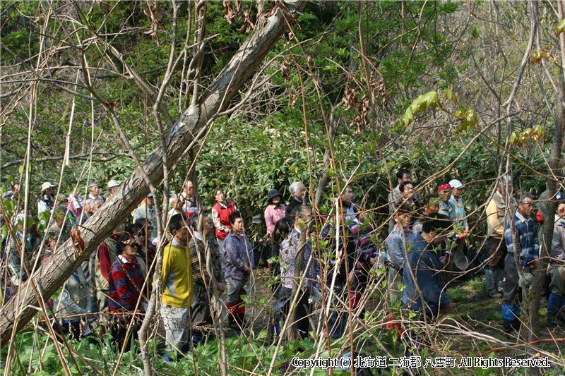 H20.04.29　ヤンカ山登山