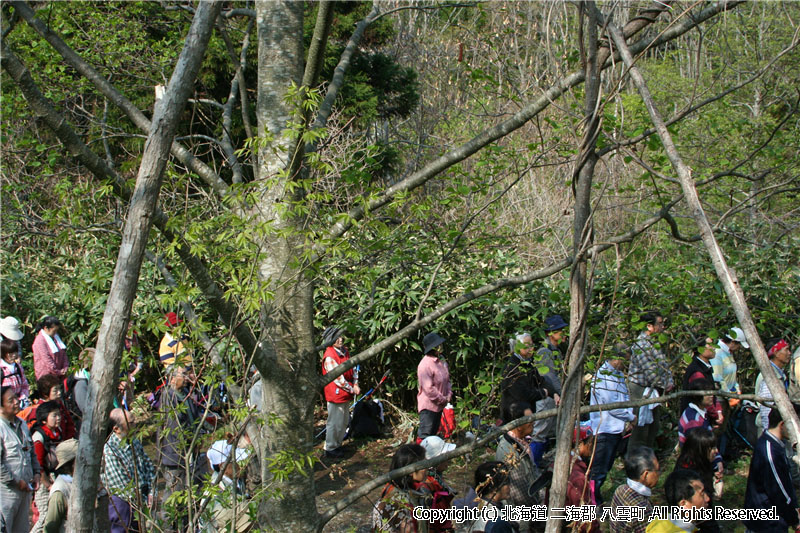 H20.04.29　ヤンカ山登山