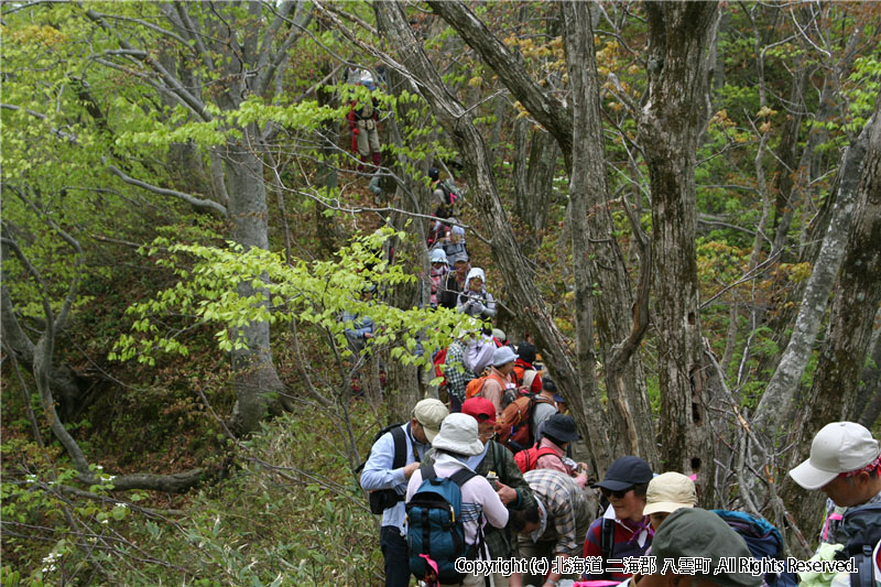 H20.04.29　ヤンカ山登山