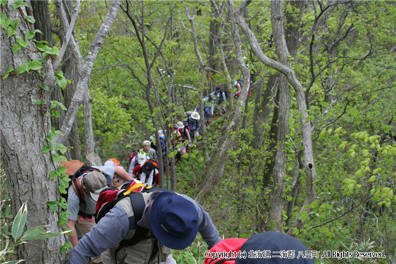 H20.04.29　ヤンカ山登山