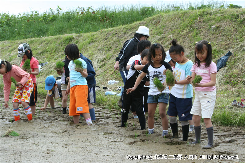 平成20年　相沼小学校　田植え