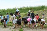 平成20年　相沼小学校　田植え