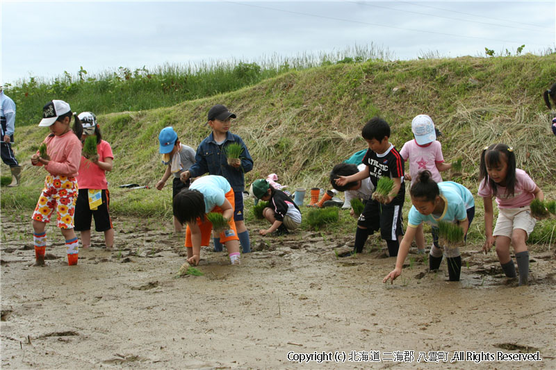 平成20年　相沼小学校　田植え