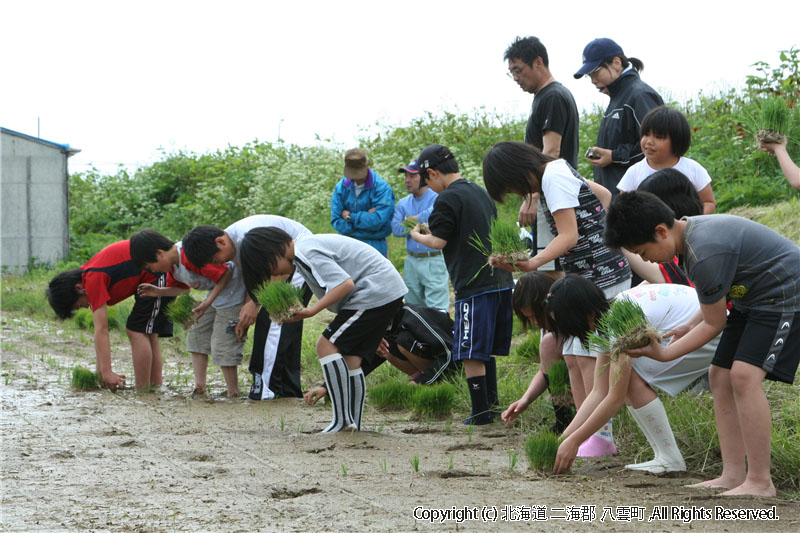 平成20年　相沼小学校　田植え