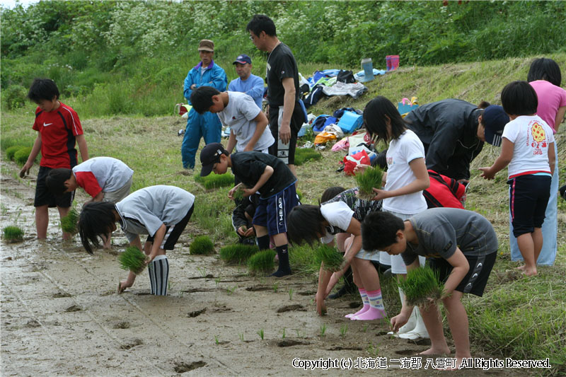 平成20年　相沼小学校　田植え