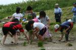 平成20年　相沼小学校　田植え