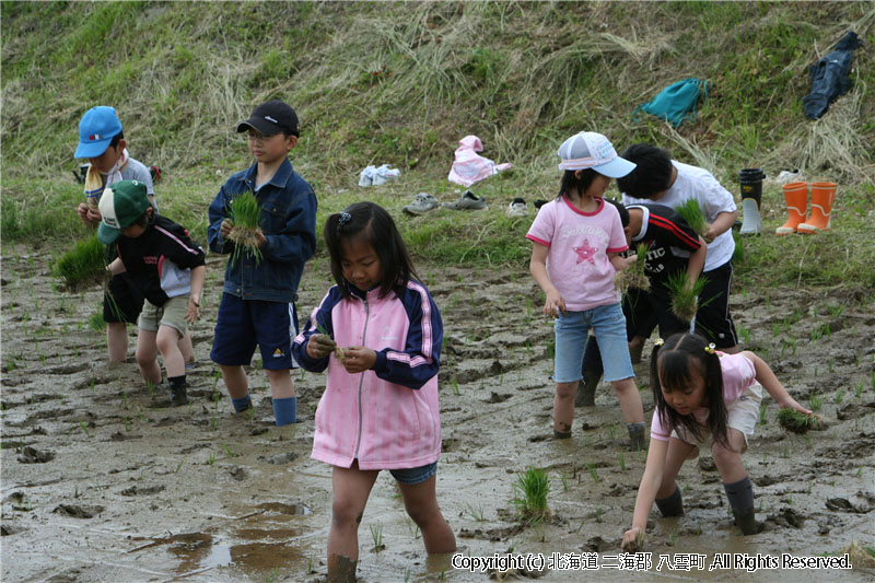 平成20年　相沼小学校　田植え