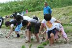 平成20年　相沼小学校　田植え