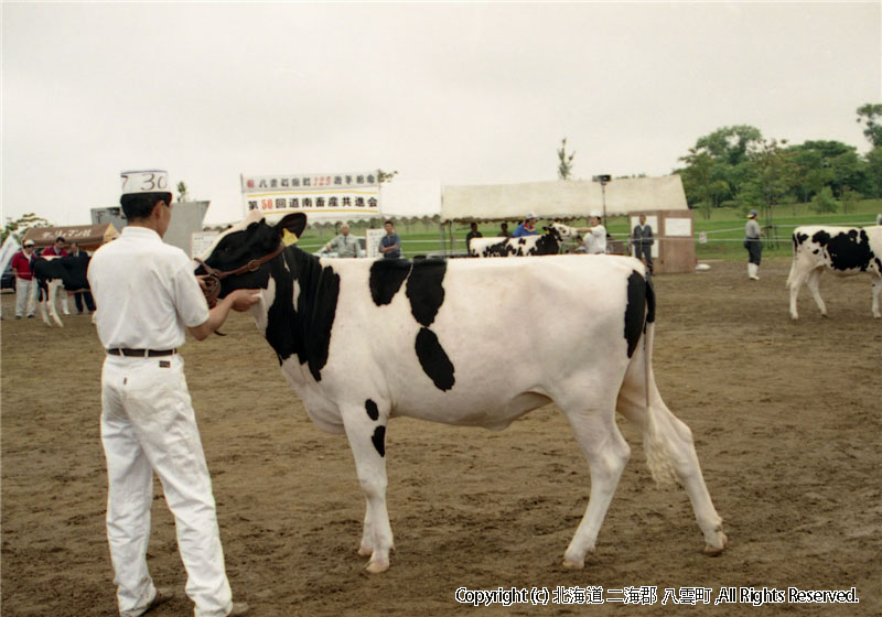 H15.07.30　道南家畜共進会