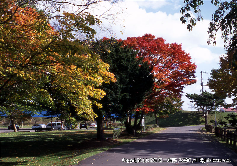 H15.10.27　さらんべ公園