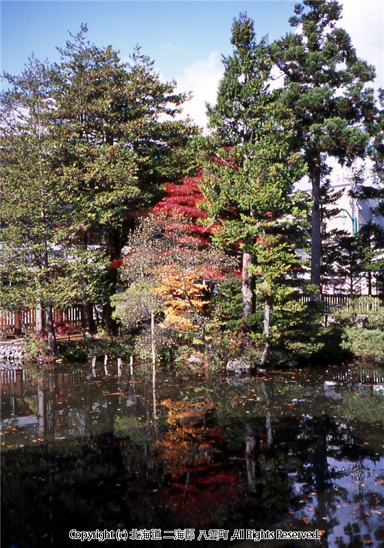H15.10.23 梅村庭園