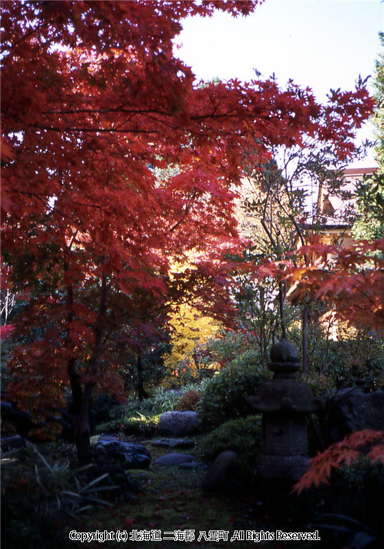 H15.10.23 梅村庭園