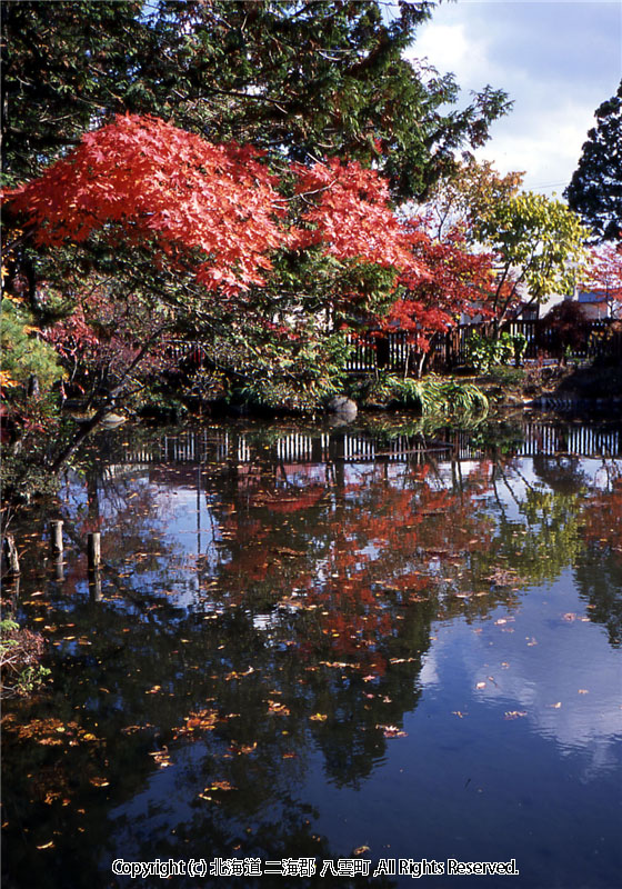 H15.10.23 梅村庭園
