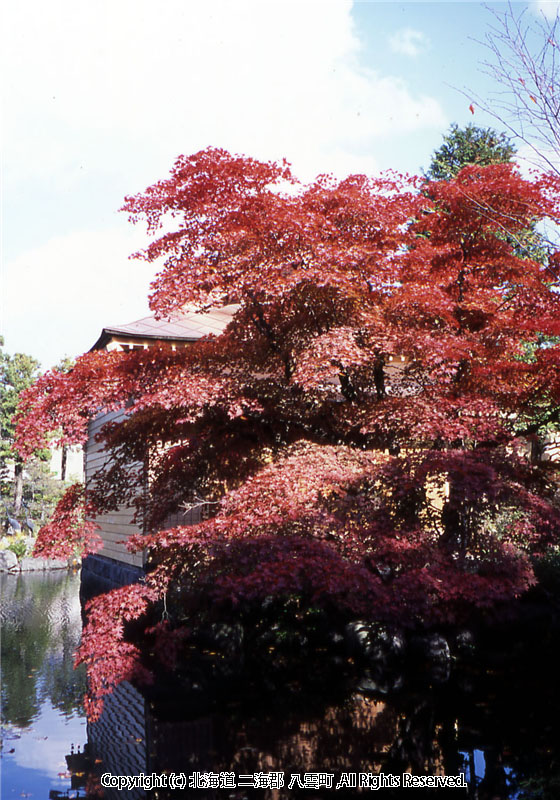 H15.10.23 梅村庭園