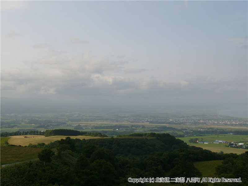 H16　農業 