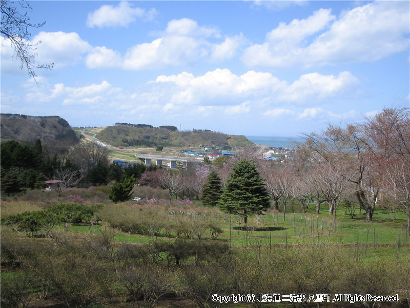 H16.05.07　落部公園から市街地