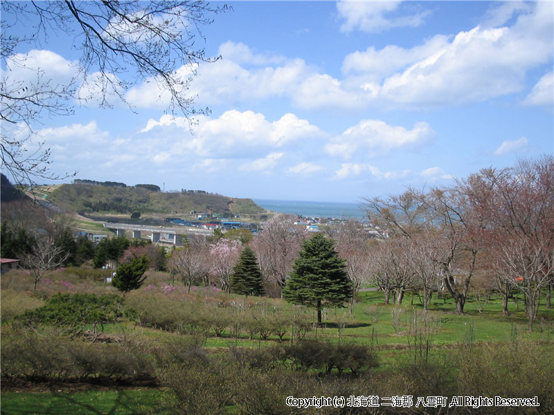 H16.05.07　落部公園から市街地
