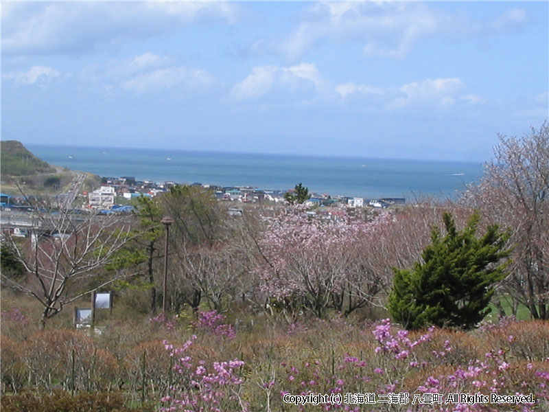 H16.05.07　落部公園から市街地