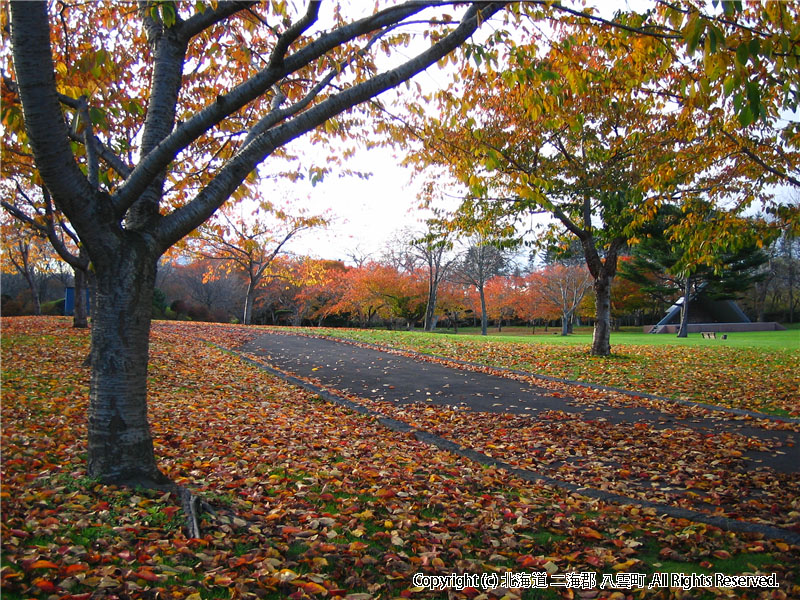H16.11.05 さらんべ公園