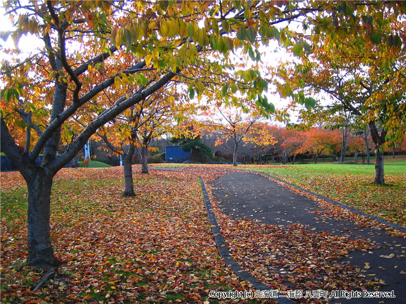 H16.11.05 さらんべ公園