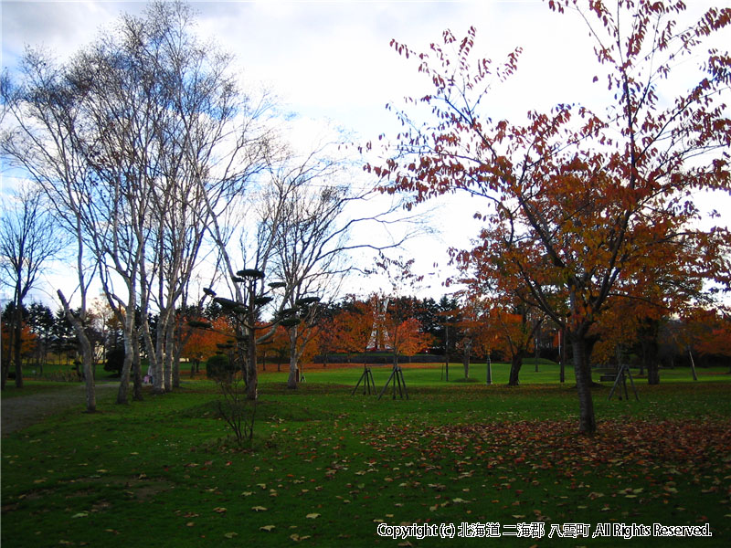 H16.11.05 さらんべ公園