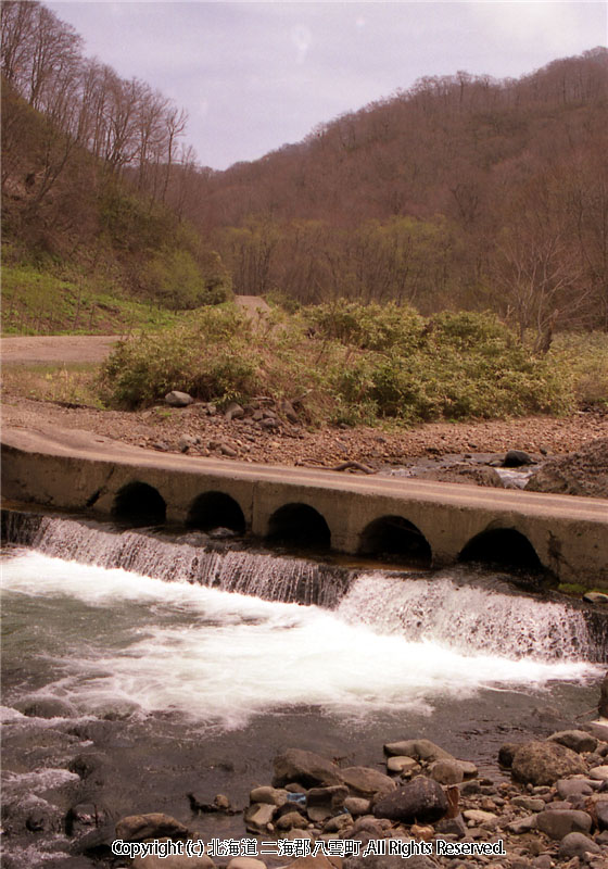 H17.05.13　眼鏡橋（鉛川おぼこ荘奥）