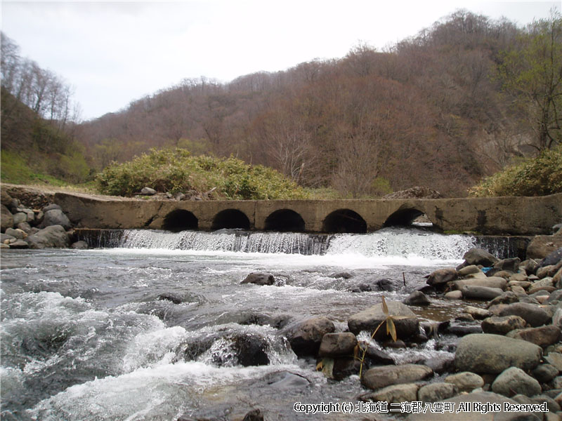 H17.05.13　眼鏡橋（鉛川おぼこ荘奥）