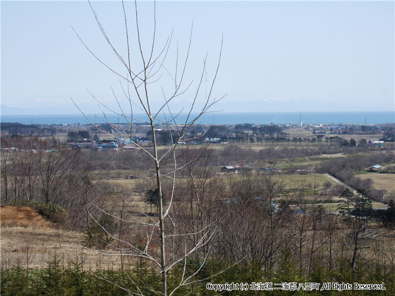 H17.04.19　風景（春日パイロットより）