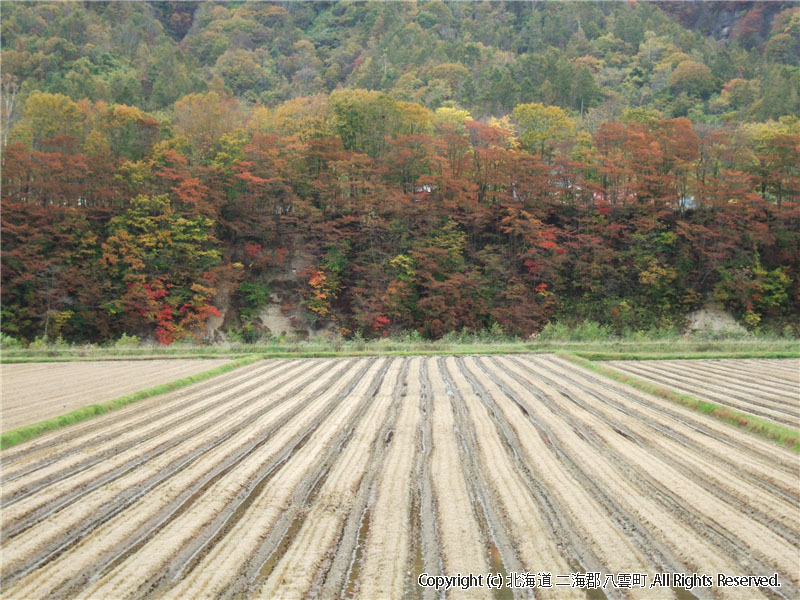 H17.10.25　景色（上の湯地区） 