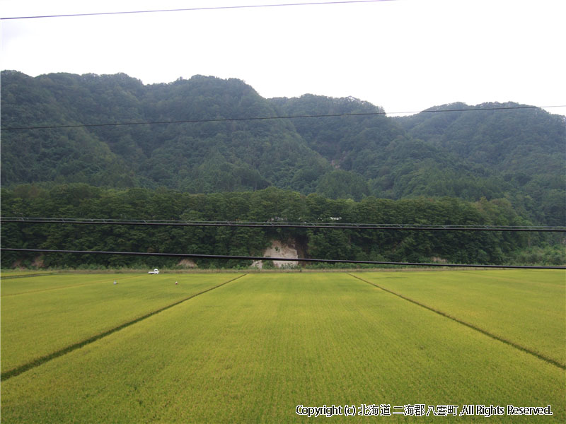 H17.09.06　水田風景（入沢・東野） 