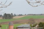 H18.05.09　風景（牛）