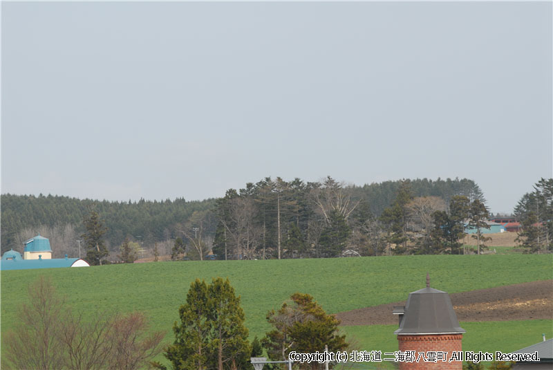 H18.05.09　風景（牛）