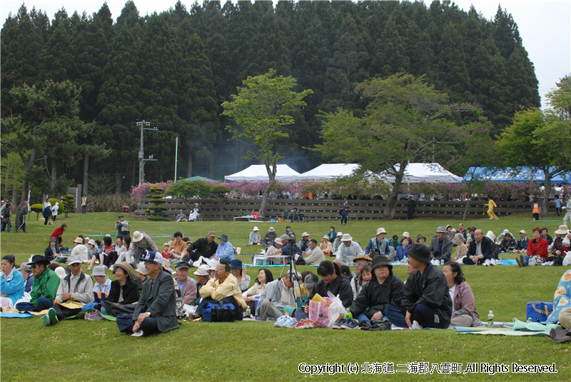 H18.06.04　つつじ祭り 