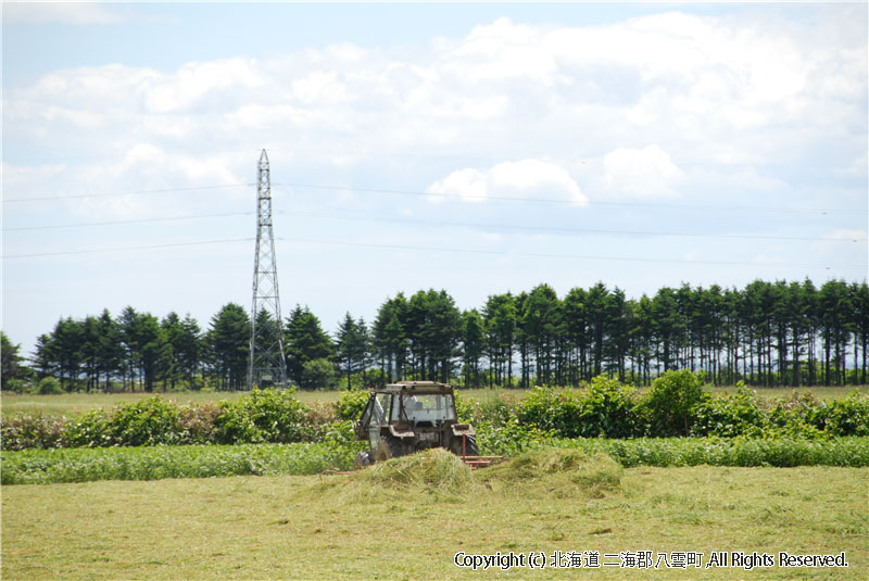 H18.06.29　風景